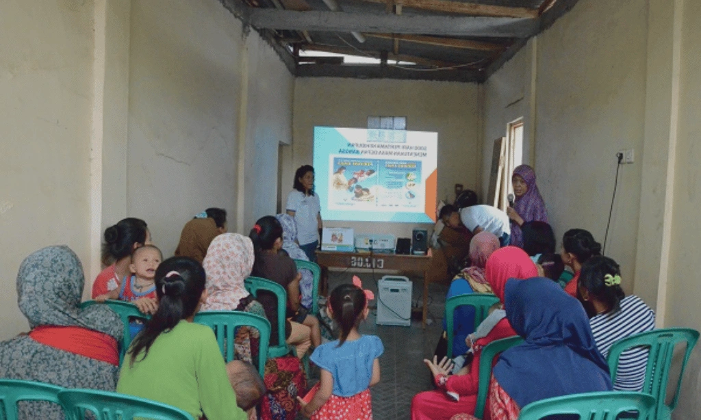 Program Kesehatan Ibu dan Anak